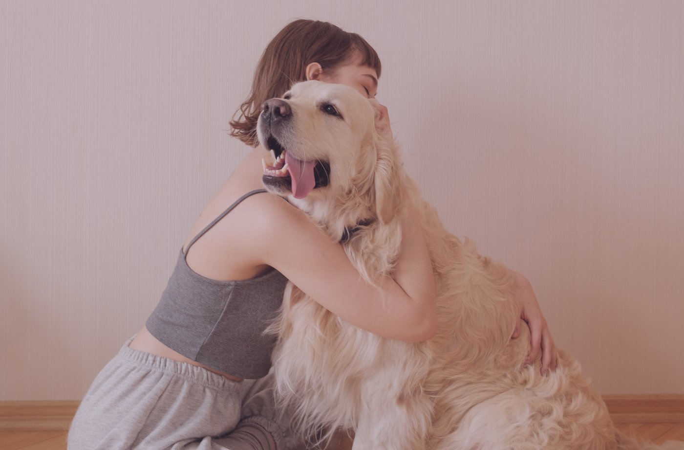 Wilix blog - kutya kötődés