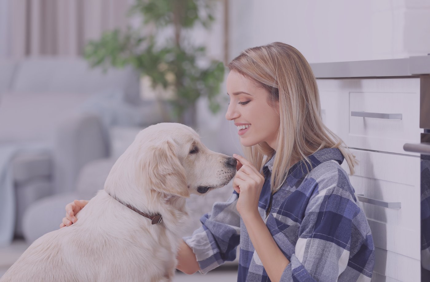 Wilix blog – kutya mint családtag